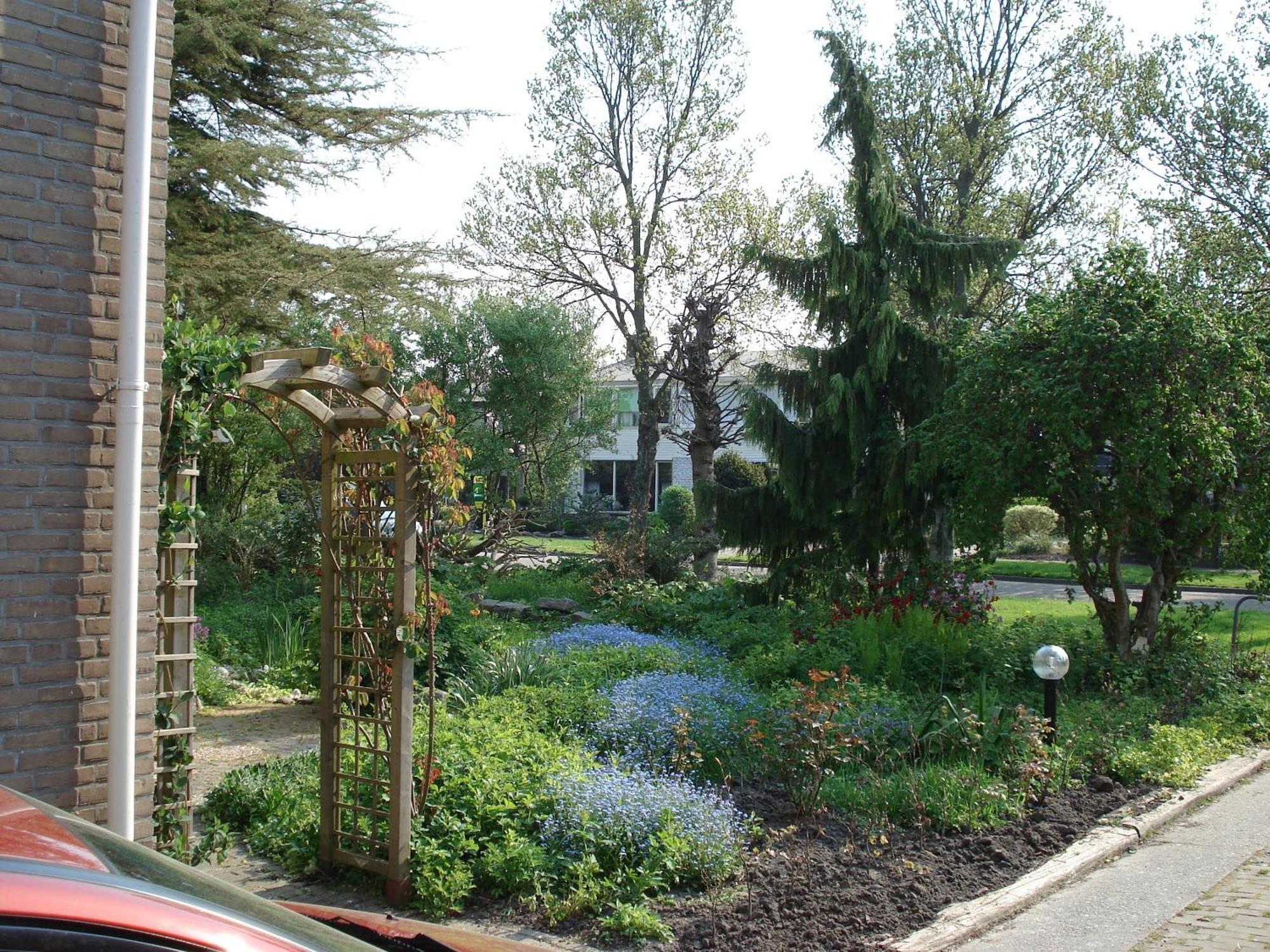 Bed And Breakfast Oosterpark Harlingen Esterno foto